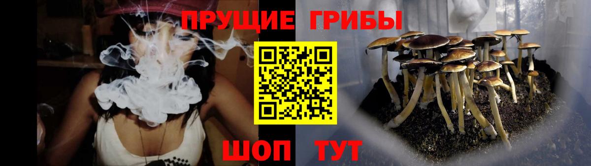 Псилоцибиновые грибы Psilocybine cubensis Усть-Лабинск